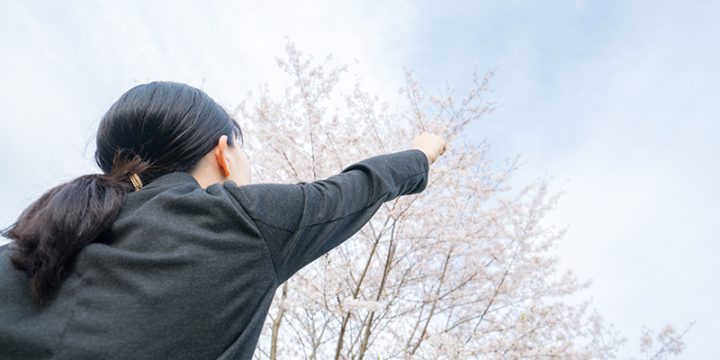 【オンライン開催】会社説明会　